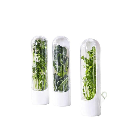كبسولة حفظ الأعشاب الطازجة للثلاجة – تحافظ على الخضرة والنكهة حتى 3 أسابيع 🥦🥬