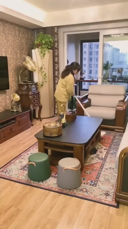 مكنسة وبر للسجاد والأثاث مع رول لاصق ومقبض قابل للتمدد